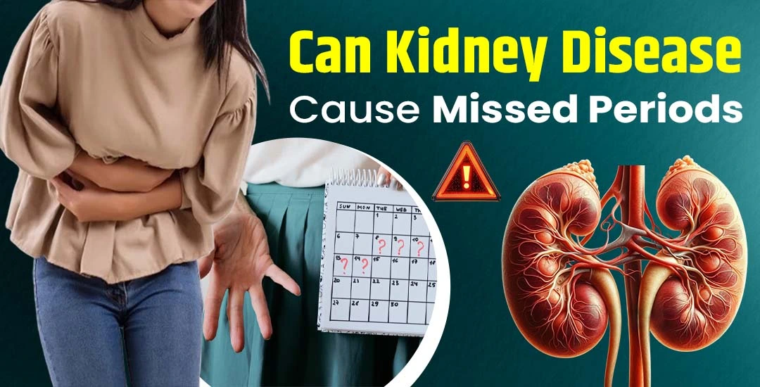 Can Kidney Disease Cause Missed Periods?
